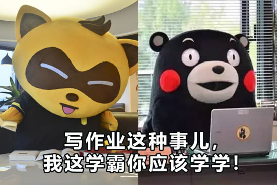 一起学习2