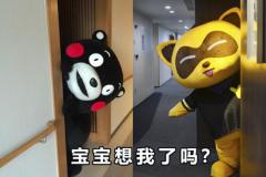 酷MA萌生日祭现YY直播 YY LIVE带YY熊冲入二次元