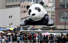 来到天府之国,这里有条熊猫步道等待你征服