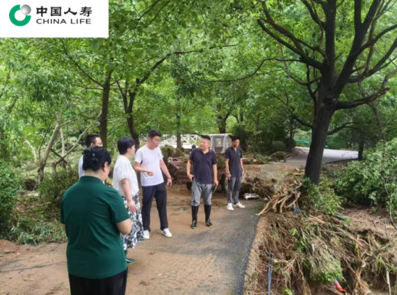 国寿财险闻“汛”而动,全力迎战“8·14”极端强降雨
